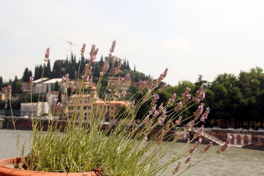 Sottoriva36 Bed & Breakfast Verona Exterior foto